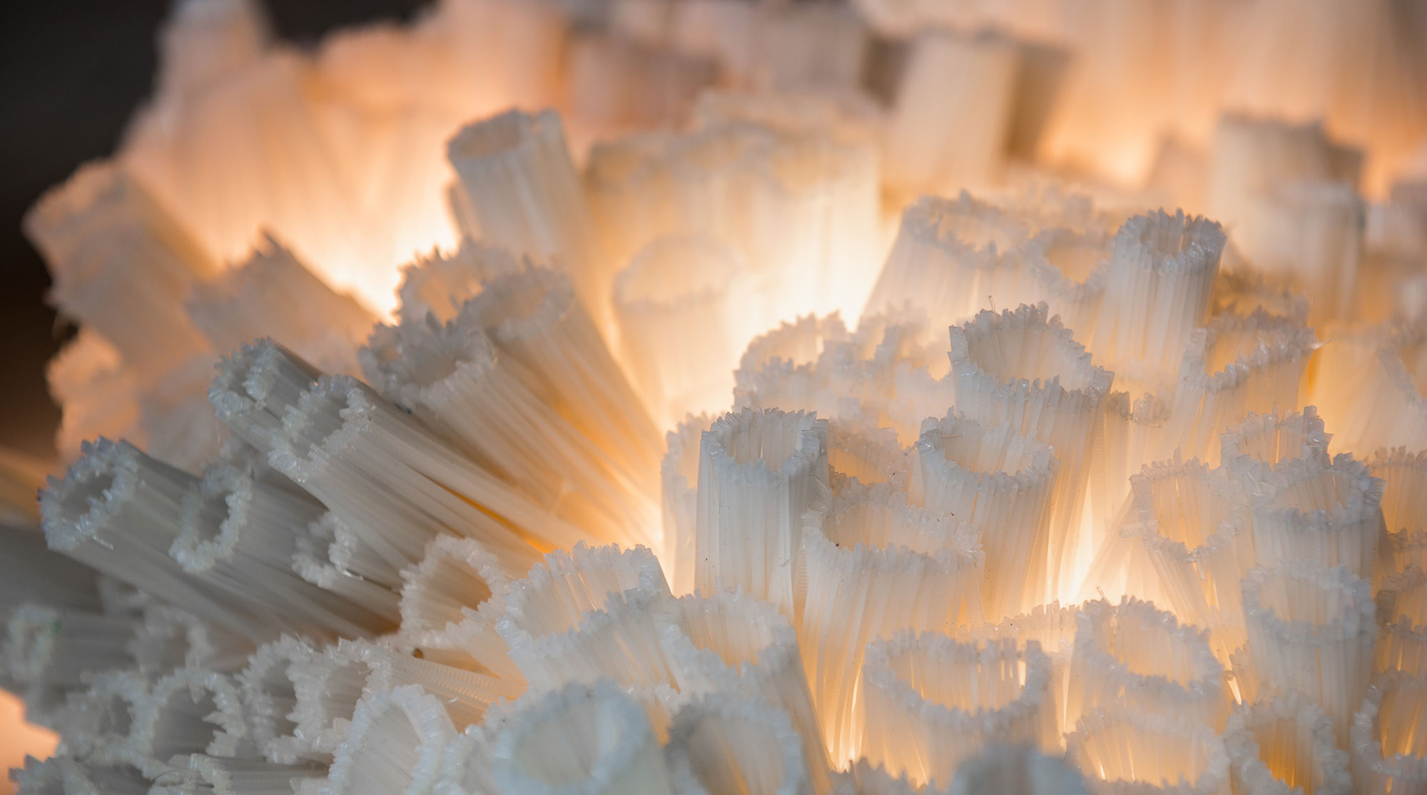 materia morfosi slider 1