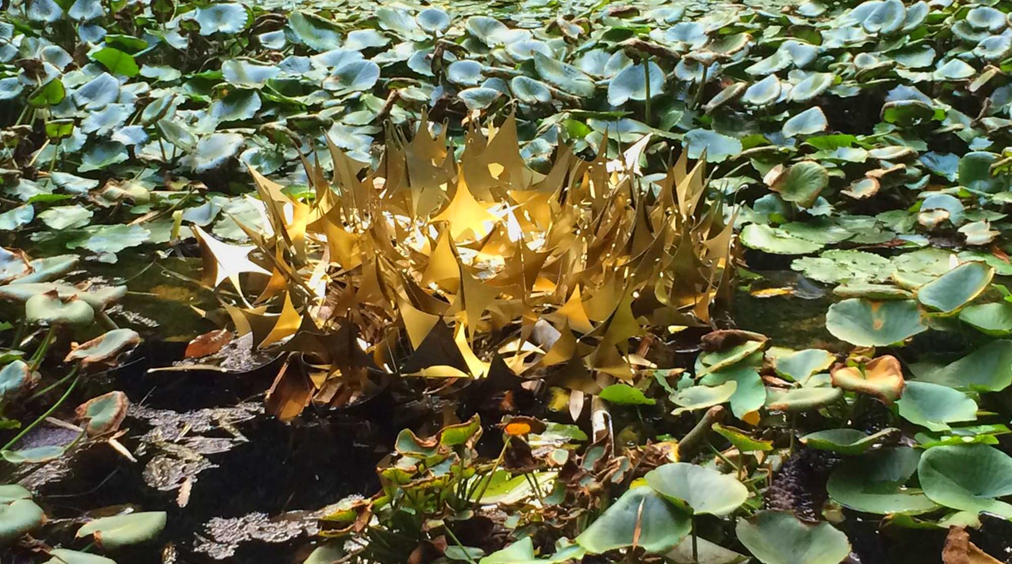 materia morfosi slider 9